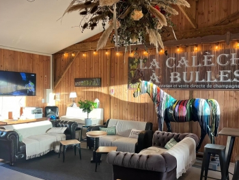 LA CALECHE A BULLES - 