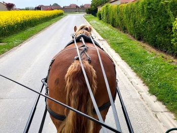 LA CALECHE A BULLES - 