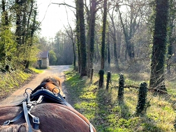 LA CALECHE A BULLES - 